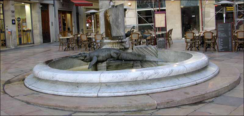 Il est où le croco ? Naturalisé dans les vitrines du muséum de Nîmes 